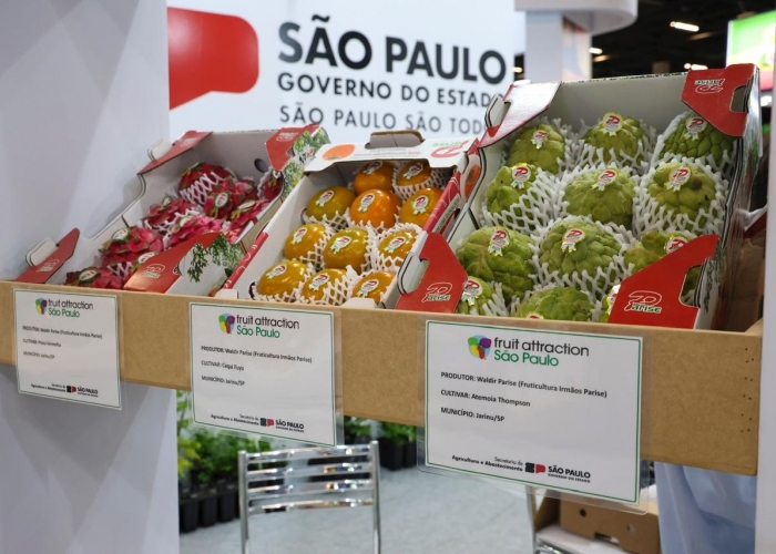 Turismo paulista leva produtores rurais para feira mundial de frutas e verduras