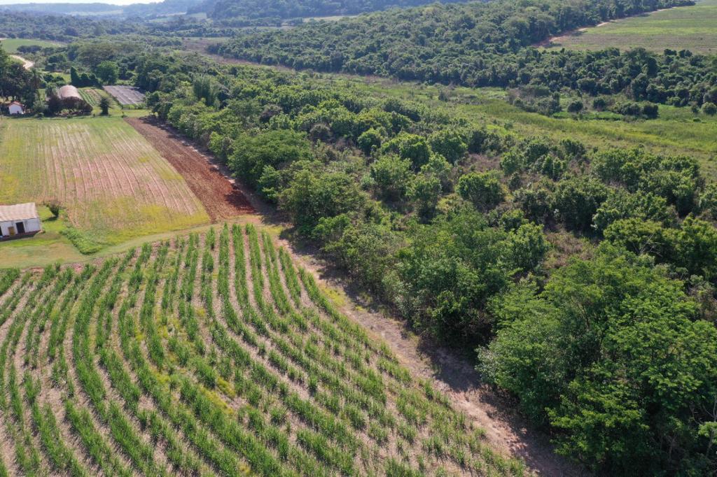 Governo de SP reúne lideranças em economia circular na primeira edição do Circular Day
