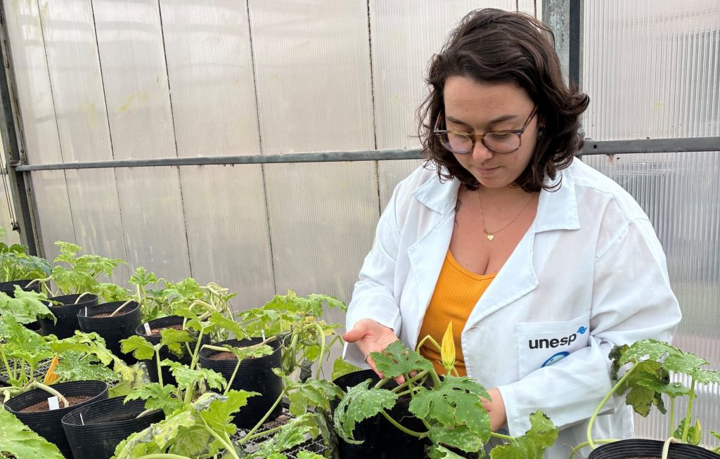 Secas podem reduzir valor calórico do néctar das flores em até 95%, aponta estudo