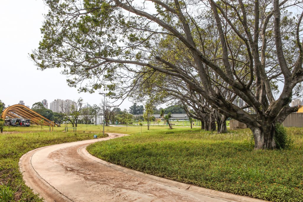 Governo de SP amplia prazo da consulta pública sobre concessão de parques urbanos na capital até 18 de agosto