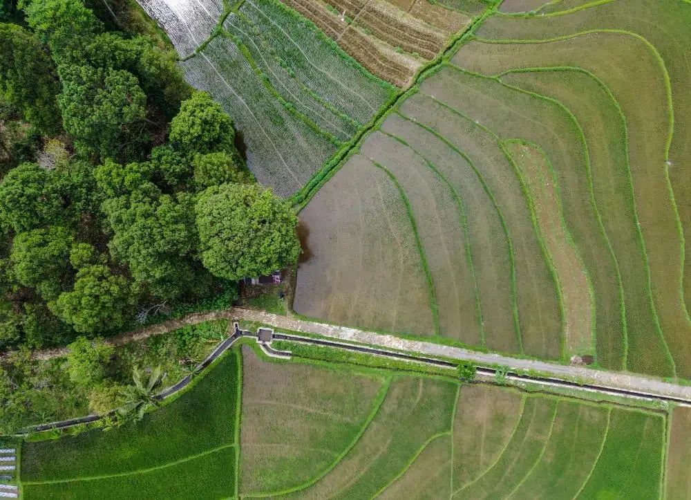 Governo de SP quintuplica número de validações do Cadastro Ambiental Rural