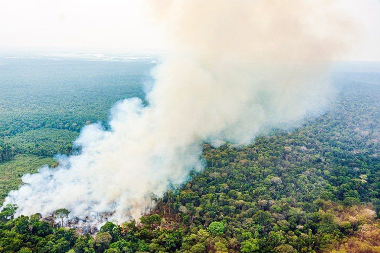 Comissão debate combate a efeitos de queimadas na Amazônia