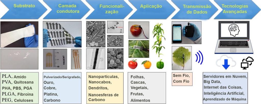 Sensores biodegradáveis em plantas acompanham em tempo real a saúde das lavouras