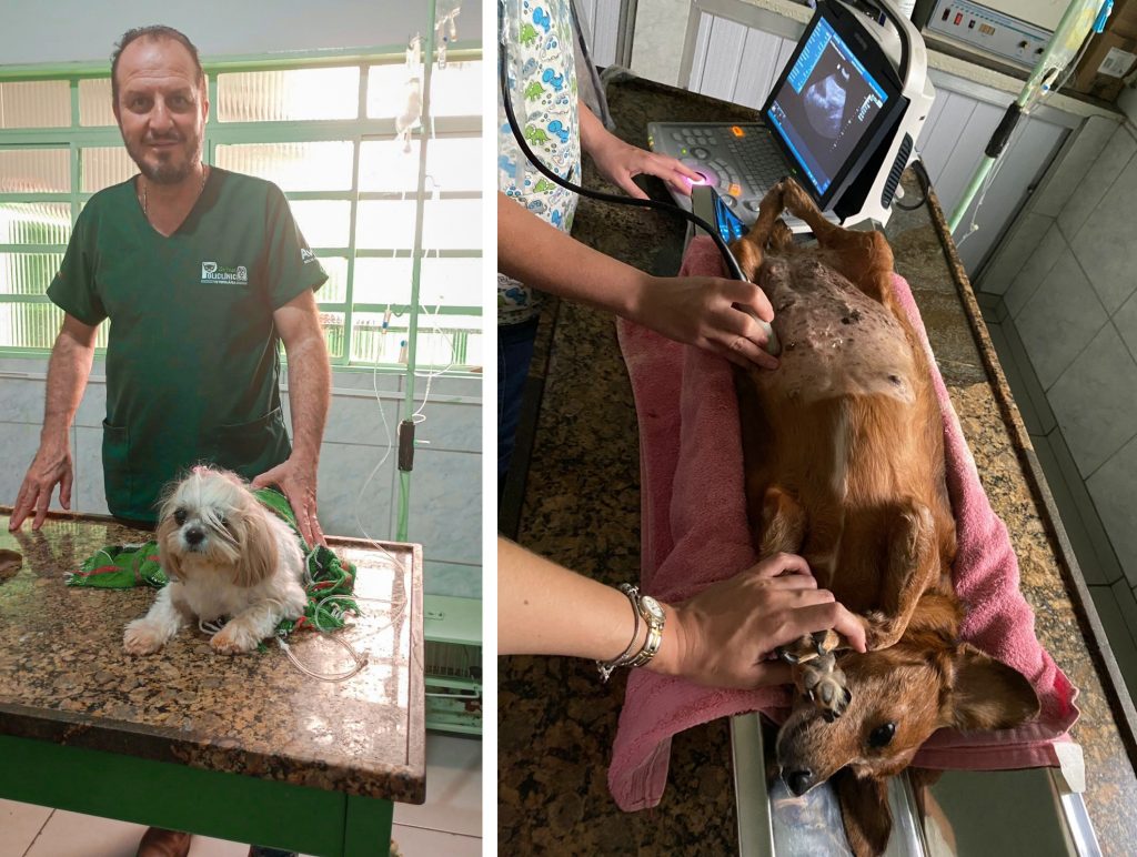 Dia do médico veterinário: empreendedor de Jales amplia serviços de clínica pet com Banco do Povo