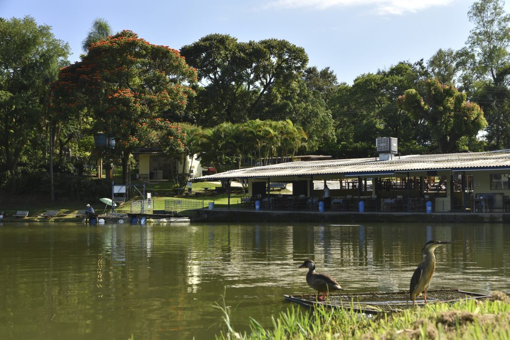 Turismo em SP: primavera será mais movimentada para 86% dos municípios