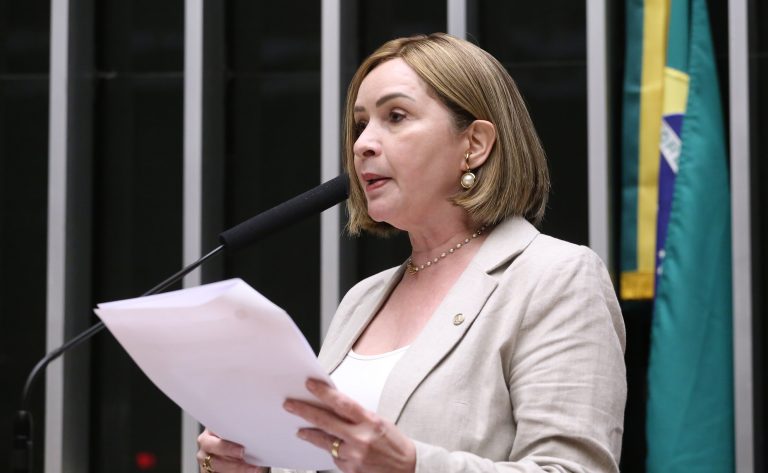 Comissão aprova projeto que cria incentivos para o comércio de produtos da Amazônia