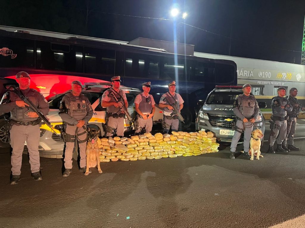 PM Rodoviária apreende quase 100 kg de skunk em Presidente Prudente