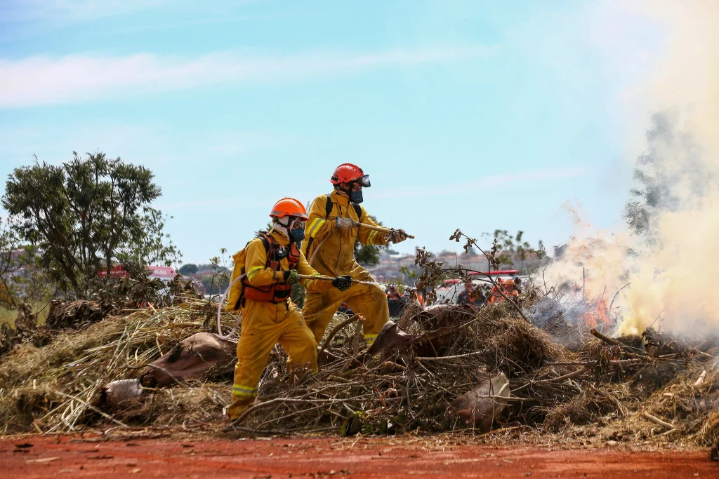 Veja como evitar incêndios durante a fase vermelha para o período de estiagem em São Paulo