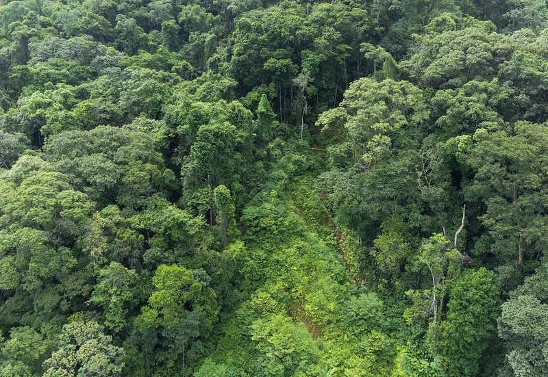 Desafio Global de Sustentabilidade está com inscrições abertas a graduandos e pós-graduandos da América do Sul